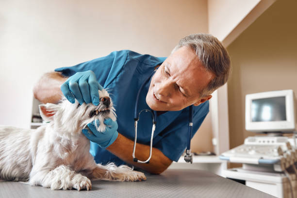 Best Pediatric Emergency Dentist in Mannington, WV